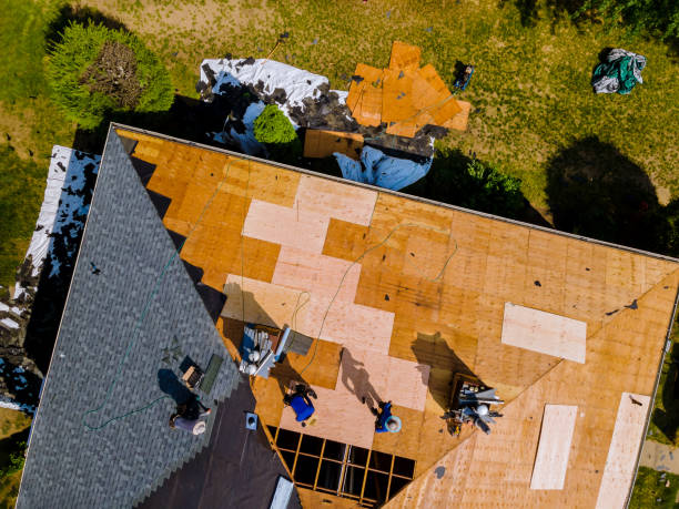 Best Flat Roof Repair Services  in Burgin, KY