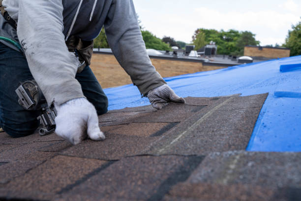 Best Storm Damage Roof Repair  in Burgin, KY
